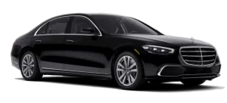 Business-RenovaTours