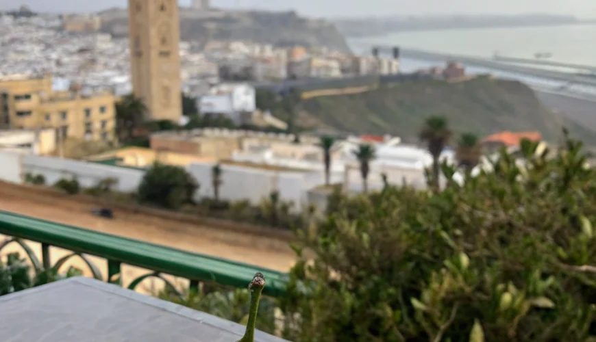 tanger rabat distance